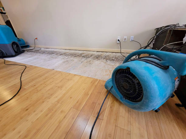 Professional Flood Damage Cleanup technician working in Waterford, OH